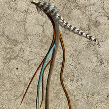 Load image into Gallery viewer, Coachella Feather Extension Kit