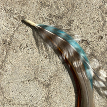 Load image into Gallery viewer, Coachella Feather Extension Kit
