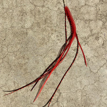 Load image into Gallery viewer, The Phoenix Feather Extension Kit