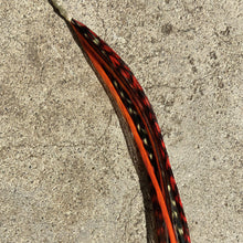 Load image into Gallery viewer, The Phoenix Feather Extension Kit