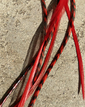 Load image into Gallery viewer, The Phoenix Feather Extension Kit