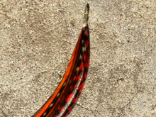 Load image into Gallery viewer, The Phoenix Feather Extension Kit