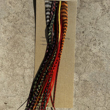 Load image into Gallery viewer, Value pack of 10 Feather Extensions