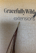 Load image into Gallery viewer, Party 10 Pack- Sparkle Hair Extensions DIY kits