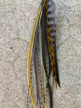 Load image into Gallery viewer, Naturalist Grizzly Feather Earrings
