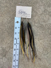 Load image into Gallery viewer, Naturalist Grizzly Feather Earrings
